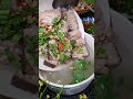 canh chua cá đuối #cáđuoi#canhchua#monanngon