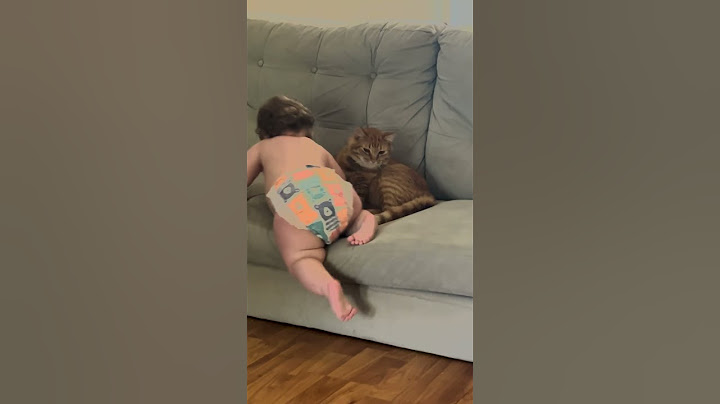 Baby Tries to Sit With Cat on Couch