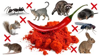 The Ultimate Pest Control: Unlock the Power of Cayenne Pepper