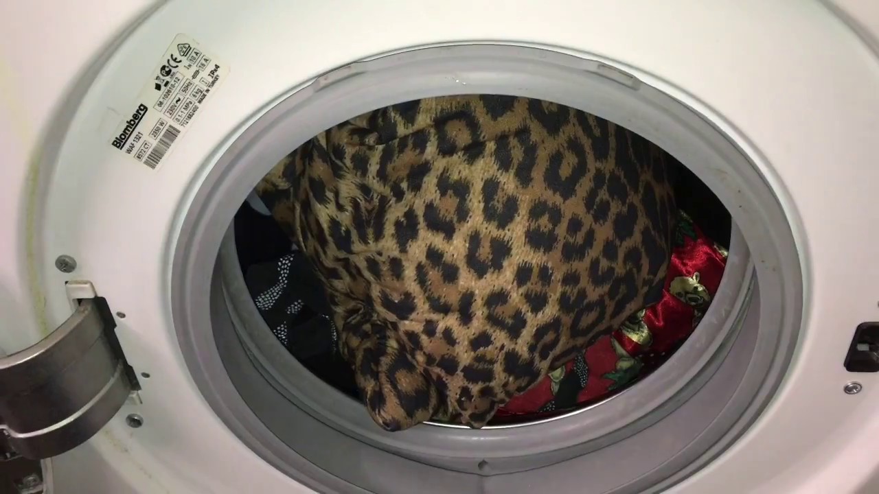 Sofakissen waschen in Waschmaschine reinigen Buntwäsche Garnitur Kissen bei  60 Grad Wasch Anleitung - YouTube