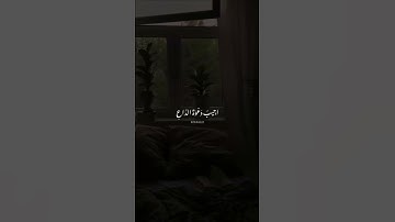 تلاوة قرآن هادئة #الله #تلاوة_خاشعة #تلاوة_مميزة #تلاوة_هادئة #تلاوة_هادئة #سبحان_الله #قران_كريم