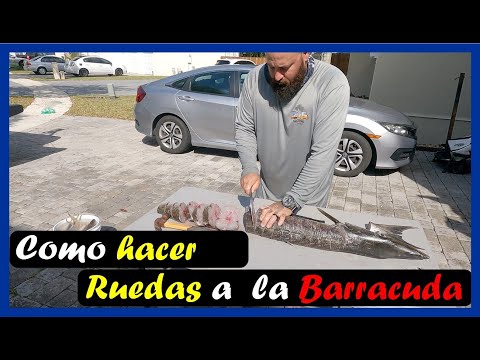 ⭐Como Hacer la Barracuda en Ruedas por el Gran Maestro 305KayakaFifhing⭐ 