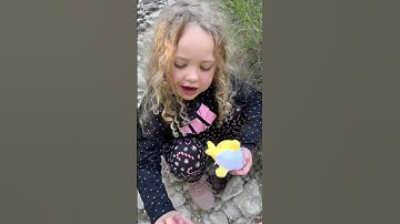 Fossil hunting in Texas. Wilder and I find a clam or oyster fossil.