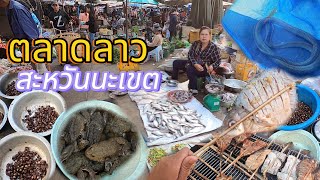 สะออนแนวกิน ตลาดสะหวันนะเขต สปป.ลาว ปิ้งปลาน้ำโขง แมงจีนูน งูสิง ของป่าหลายคัก