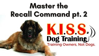 How to Master the Recall Command with K.I.S.S. Dog Training (pt.2)