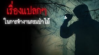 เรื่องแปลกๆในการทำงานกรมป่าไม้ - Creepypasta