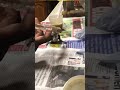 Hand Feed Lovebirds