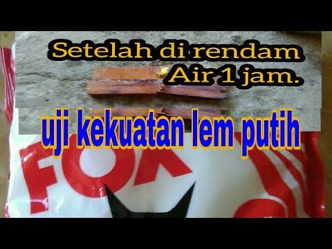 Riview lem kayu,uji coba kekuatan lem putih fox. 