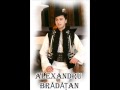 Alexandru Bradatan - Mandra mea'i frumoasa tare ( 0741523726 contact artist)