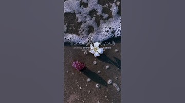 قرآن كريم 💞 اجر لي ولكم 💞