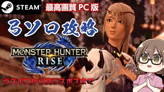 【STEAM版モンハンライズ】真のラスボス・百竜ノ淵源ナルハタタヒメ攻略まで終われません！超高画質PC版は弓ソロ縛り【モンスターハンターライズ】