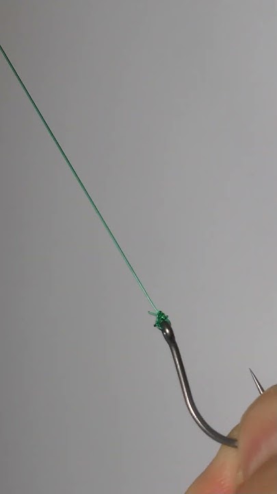 Knoten Die Jeder Wissen Sollte einer der der einfachsten Knoten, die jeder Angler kennen sollte #