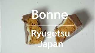 Chocolate cake with sake and nuts [Bonne Ryugetsu] ボンヌ 柳月 洋酒とナッツのチョコケーキ