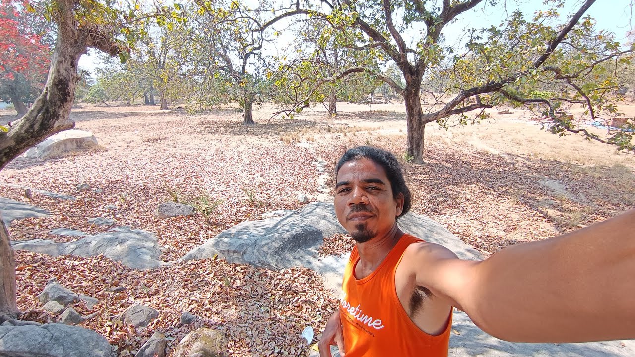 Patjhad Ka Mausam in Jharkhand 😍 #jharkhandlive