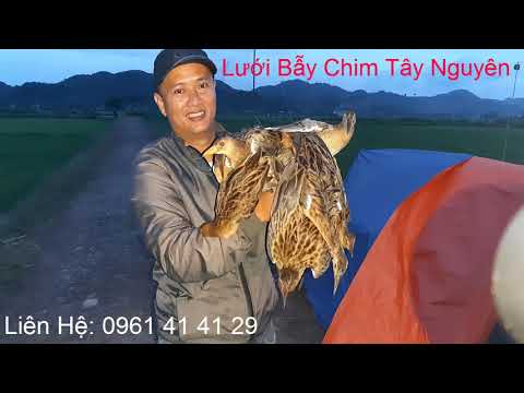 Video Tiếng Chim Đêm. Tiếng Gà Nước. Tiếng Gà Đồng. Tiếng... - youtube
