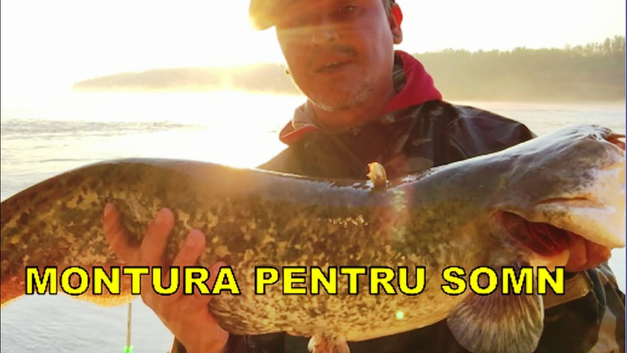 Montura pentru somn! Pescuit pe Dunare!