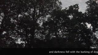 Total Eclipse, Kansas City Gladstone, MO. 3 minutes on the ground at the Irish Roots Cafe, Aug. 2017