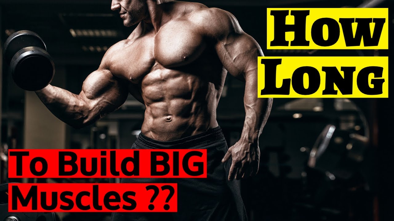 How long does it takes to build big muscles?? - YouTube