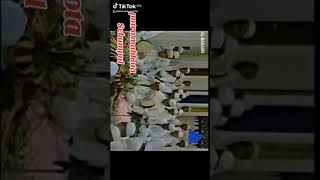 Download Lagu MULIA KARNA ILMU MP3