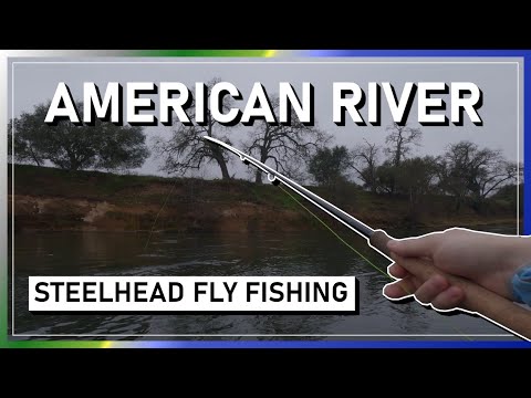 American River Steelhead. A walk-and-wade fly fishing half day trip. 