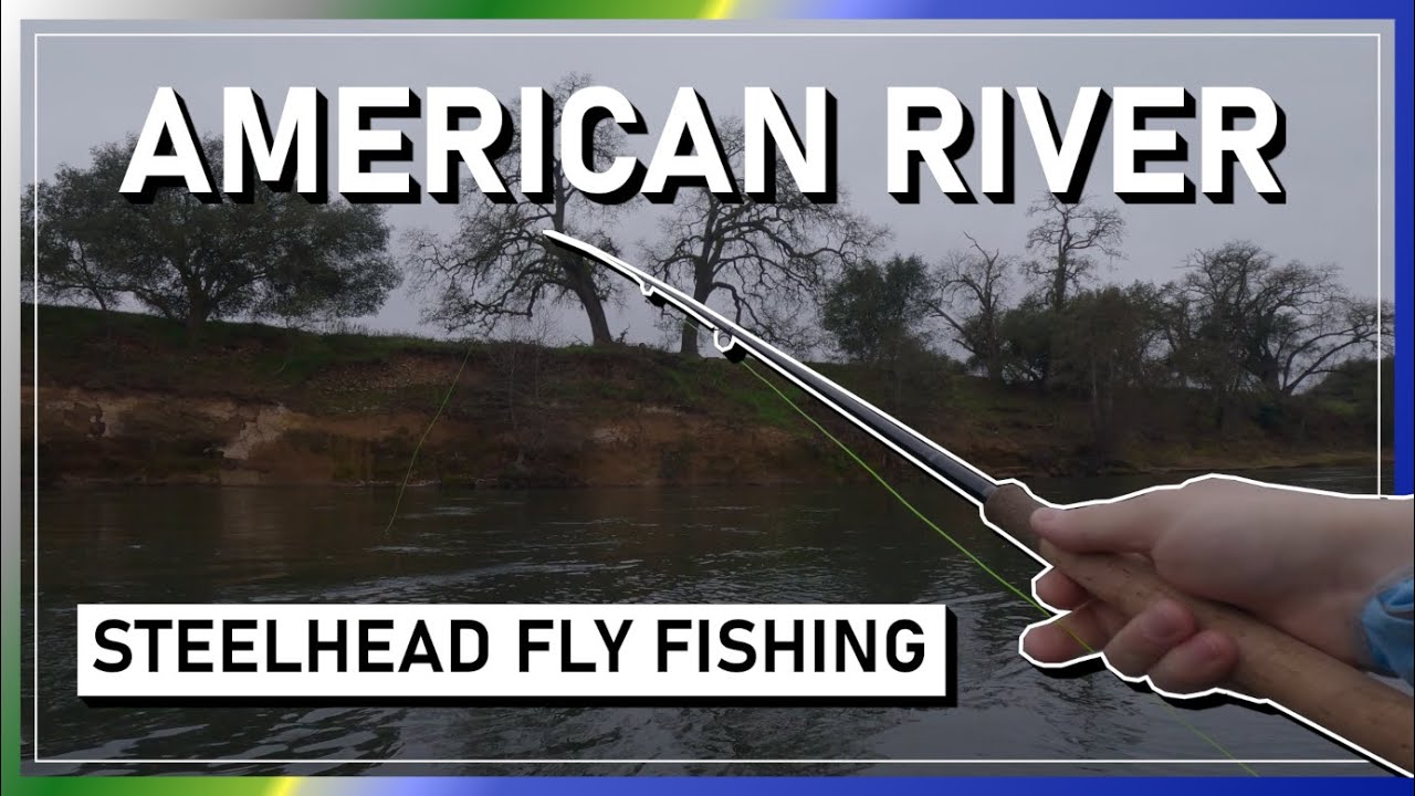 American River Steelhead. A walk-and-wade fly fishing half day