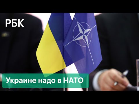 Все попытки Украины вступить в НАТО: 1992–2022