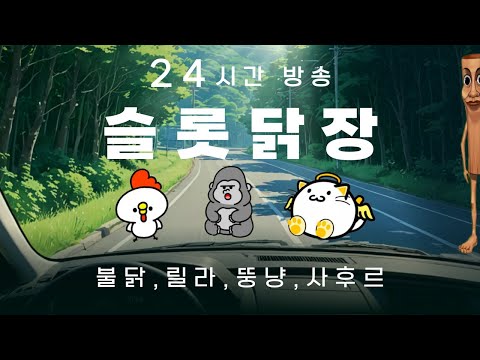 [슬롯 생방송] 사후르 보러 안오면 손해입니다 #슬롯생방송 #실시간슬롯