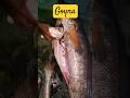 Goyna Fish Cutting Removing MAW(POTA) Short Video #shorts #trending #seafishcutting