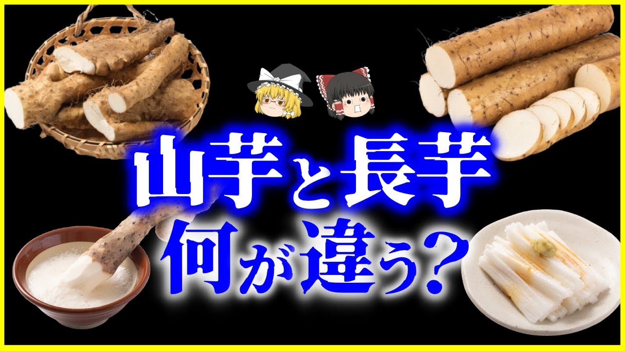 Slow Explanation] Tororo is a Japanese treasure What's the