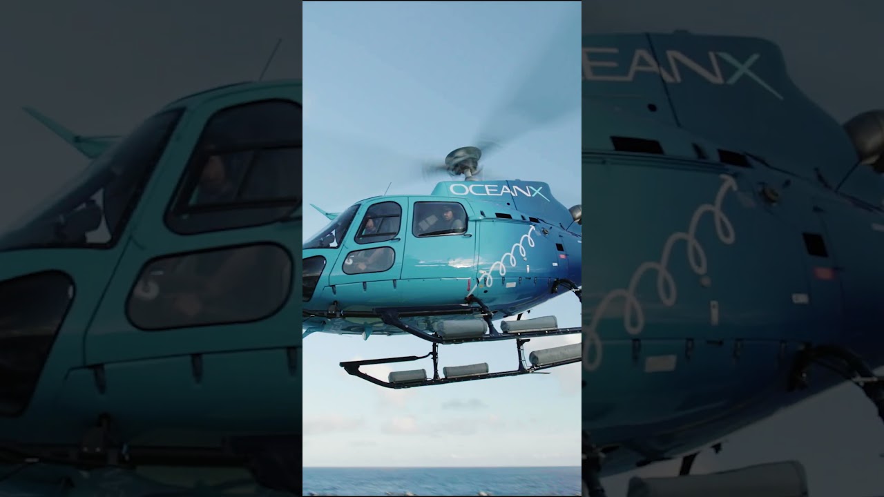 OceanXplorers: Hammerhead Highway - The Deeper Dive