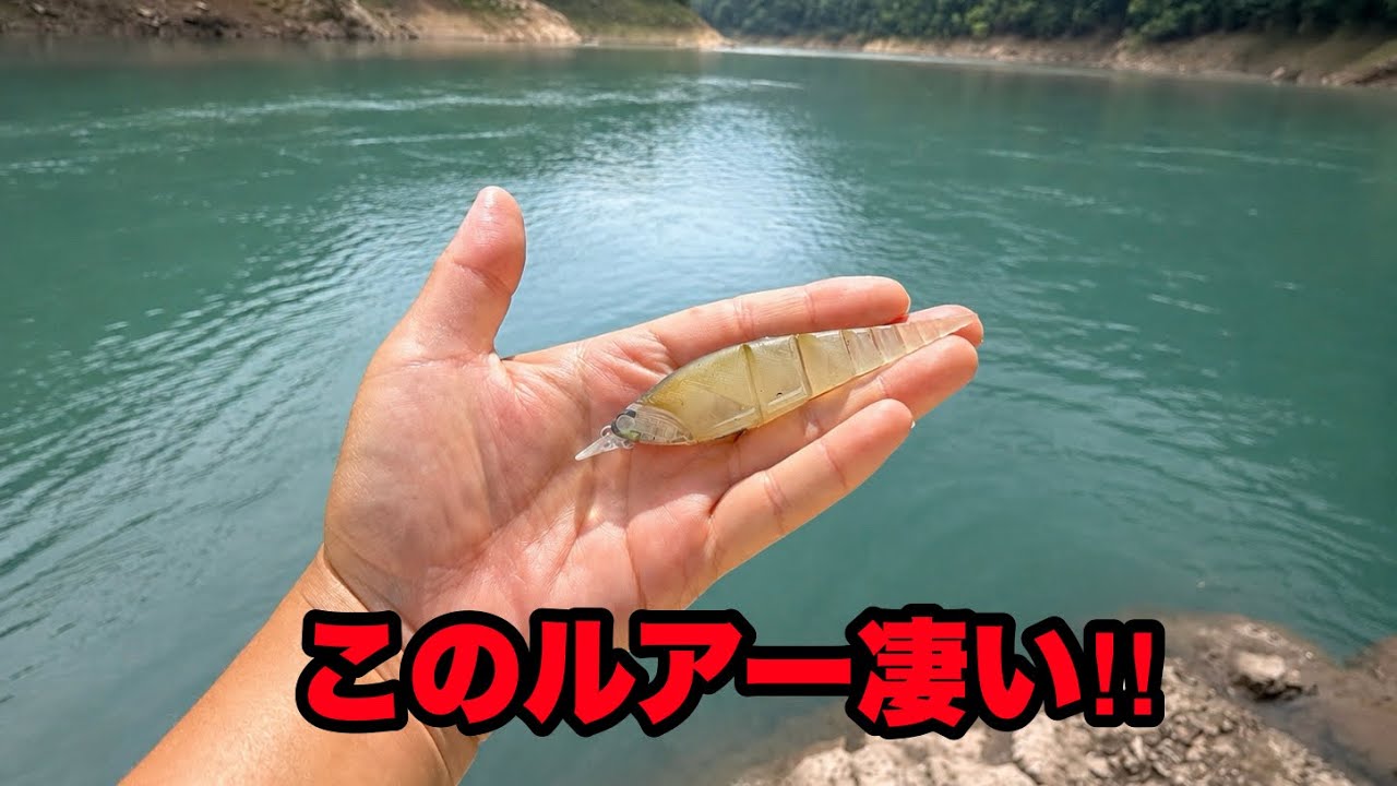 次世代ルアーを手に入れたので使ってみたら魚が狂いました