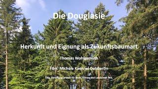 Die Douglasie - Herkunft und Eignung als Zukunftsbaumart
