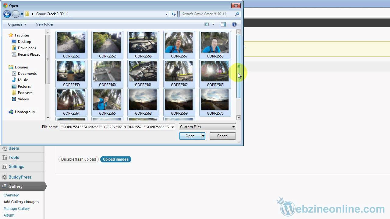 NextGen Overview Gallery & Album