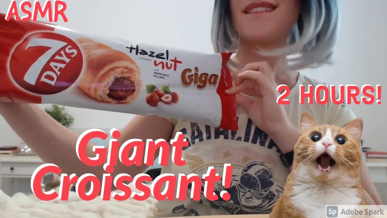 ASMR Eating Giant Choco Croissant 2 Hours Relaxing Sounds  | No Talking | Joy Chew  音フェチ