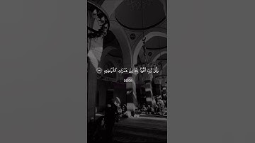 سورة المؤمنون - محمد ديبيروف