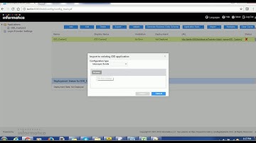 Informatica Data Director - IDD - How to change date format in IDD