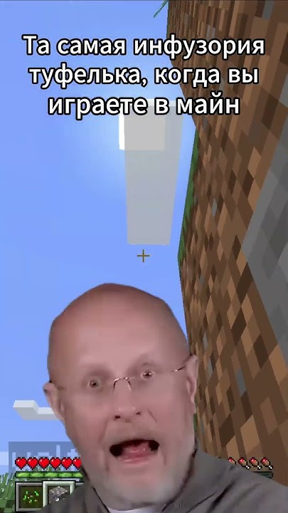 Та самая инфузория туфелька, когда вы играете в майнкрафт #minecraft # ...