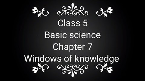 class 5, Basic science, chapter 7, Windows of knowledge, Sensing by Smell.