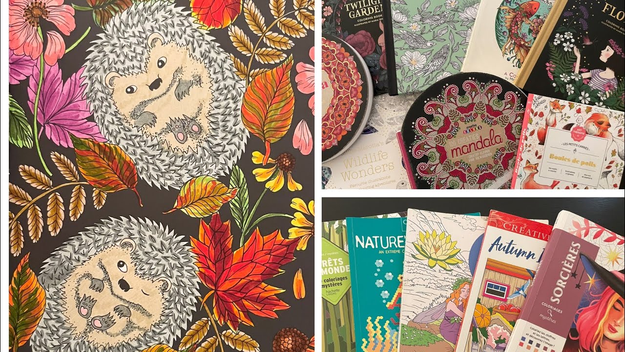 Раскрашенное за Октябрь 2025/ Completed coloring pages October 2025