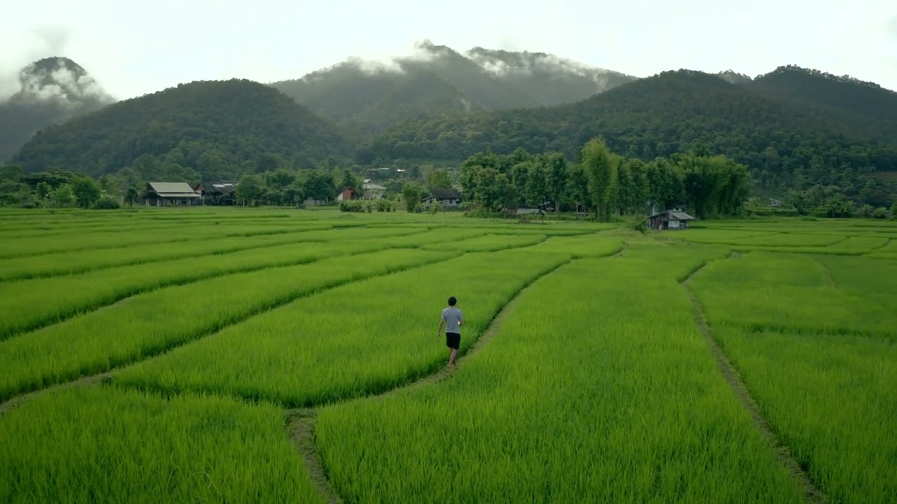 190915 A 04 Drone 1253