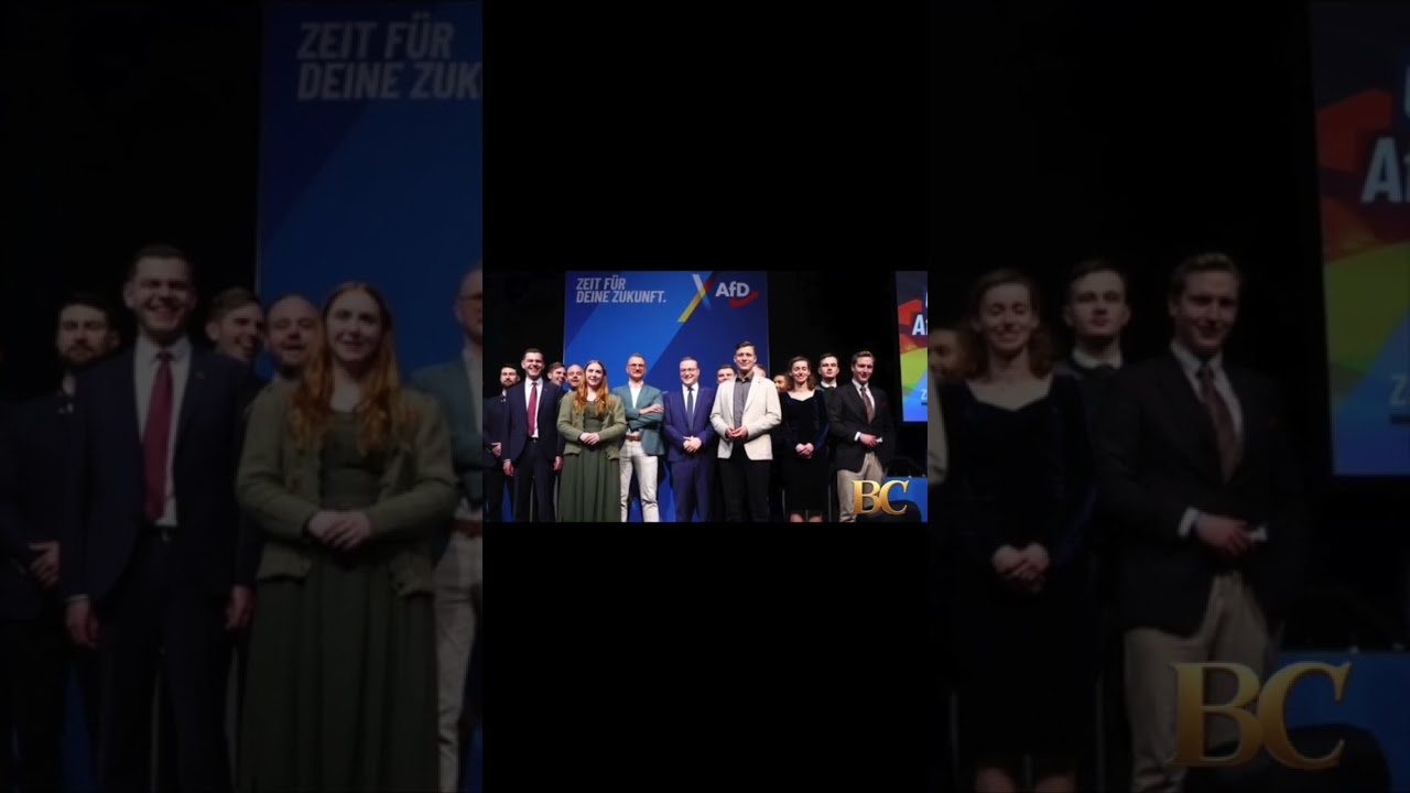 Немецкая крайне правая партия создает новое молодежное крыло на фоне многотысячных протестов