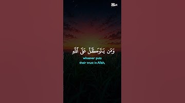 أحترم القران الكريم دقيقة فقط و أكتب #يارب ❤❤❤❤❤❤❤❤❤