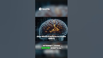 Digital Addiction  How Silicon Valley Controls Your Mind