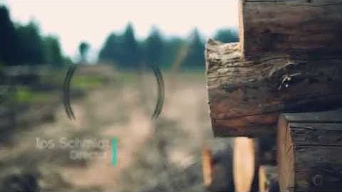 Videohive project - Plexus Pack