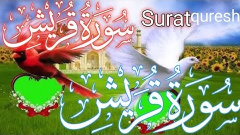 Beautiful Surah quraish -  سورة قريش   by Saad Al Qureshi, views   ago  ...more online Tilawat