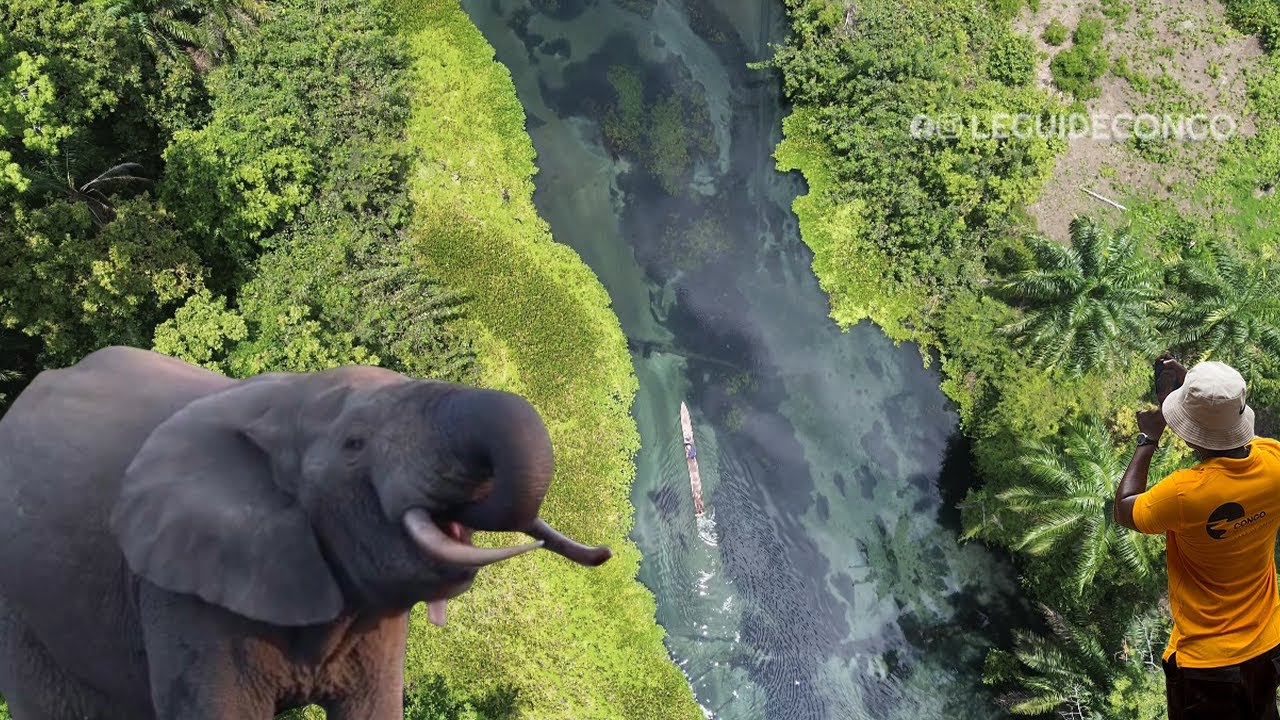 Le CONGO que les Médias ne nous montre pas 🇨🇬 (Change the AFRICA narrative- PART 1)