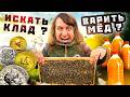 Варю Хмельной Мед Дома! Ищем Золото Скуфа Флавия на металлоискатель.