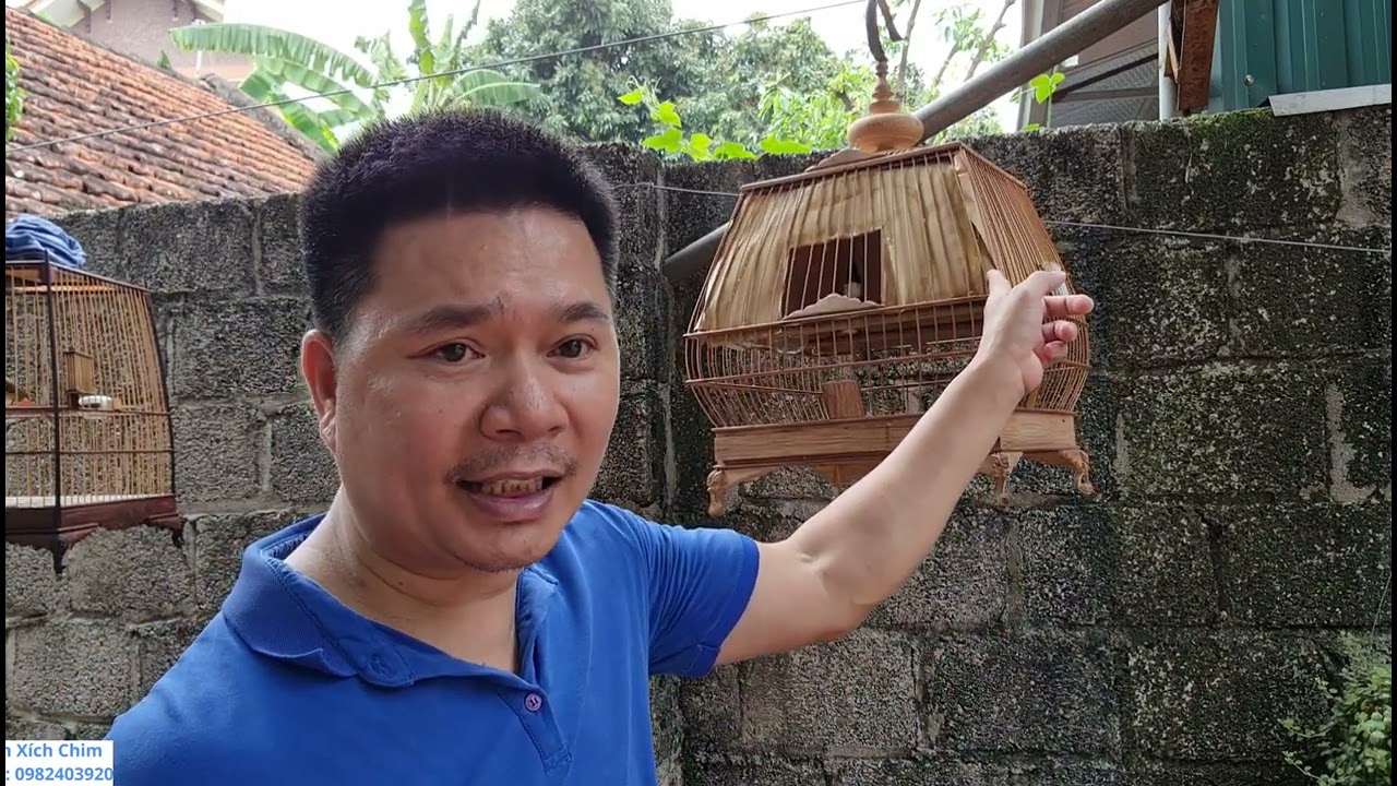 hướng dẫn chữa mà chào mào ngoái ngửa **ngày thứ ba** hiệu quả rõ rệt..