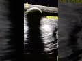 Penile urethral Calculus | Ultrasound | Reporting | Sonologist | Radiologist | Learning |