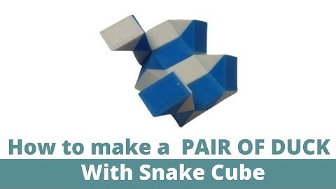 How to make a pair of DUCK with Snake Cube